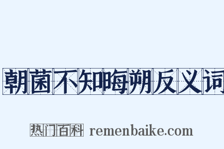 朝菌不知晦朔反义词是什么意思的图片